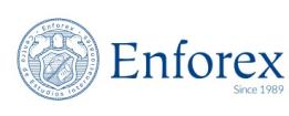 Logo Enforex Valencia-Centro Summer