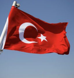 Flag of Turkey: history and symbols
