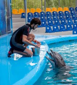 Loro Parque in Tenerife: a place of fun and unity with nature