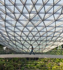 The best airport in the world: it has everything