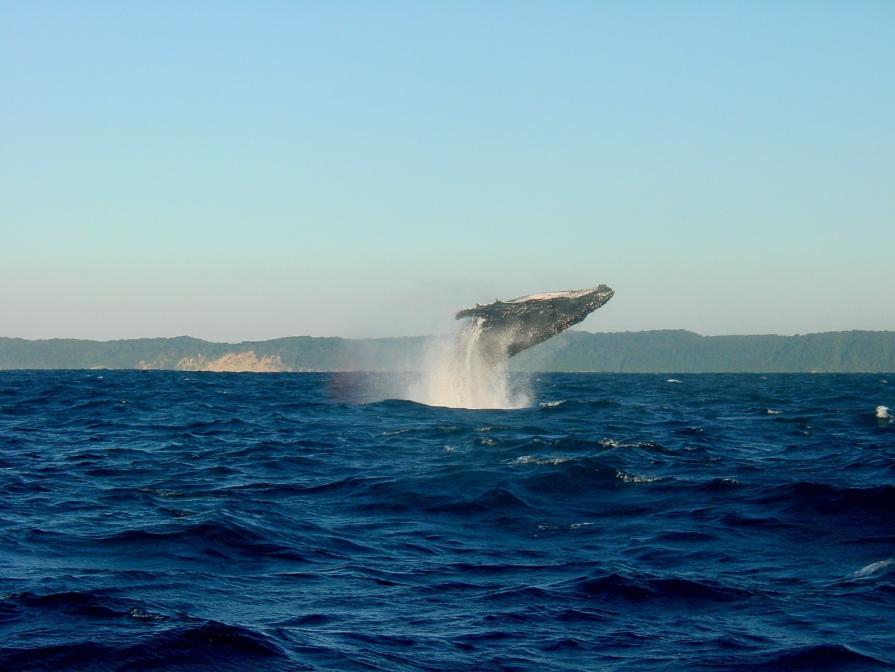 Shantar Islands: mysterious and inaccessible