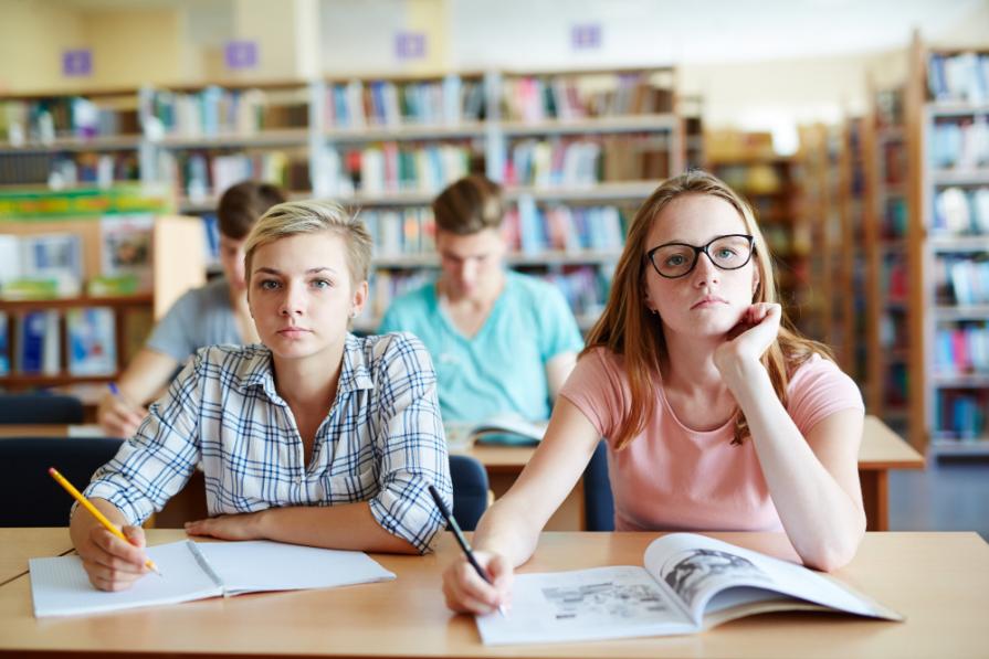 Study abroad after the 9th grade: opportunities for foreign students