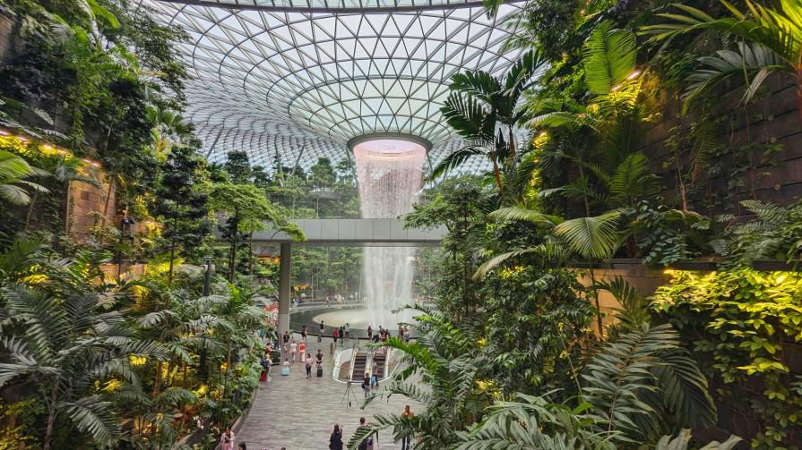 The best airport in the world: it has everything