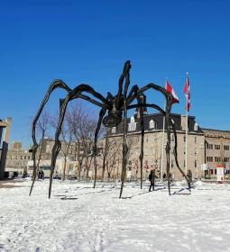 National Gallery of Canada - one of the wonders of the country