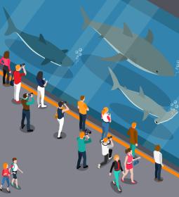 Vancouver Aquarium