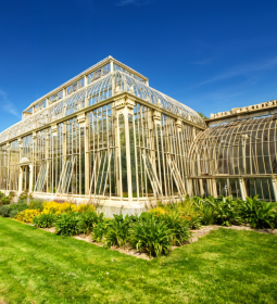 The Botanical Garden in Dublin