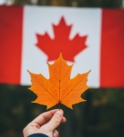 Everything about Canada: nature, cities, history, places, cuisine, rest