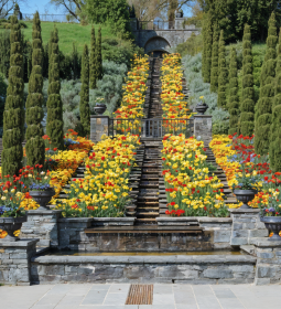 Mainau -  the most romantic place in Europe