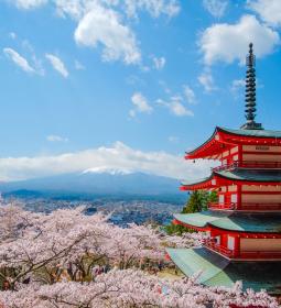 In Japan, views of Mount Fuji will be blocked