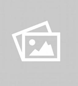 TOP sports universities in Russia 2026 Rankings