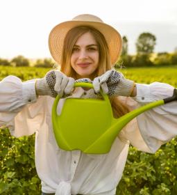 Best Universities for Agriculture and Forestry Studies in USA 2026 - QS World University Rankings