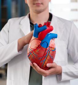 Best Universities in Europe for Anatomy and Physiology 2026 - QS World University Rankings