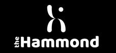Logo The Hammond School, Hammond School of Arts