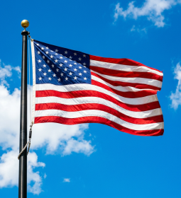 Statistics for summer 2025: The USA lost almost 36% of student visas