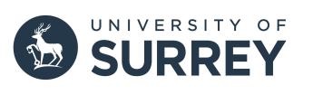 Logo University of Surrey Summer Camp