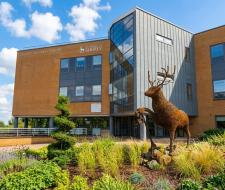 University of Surrey Summer Camp