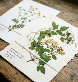 University of Cambridge opens a course based on real materials by Charles Darwin