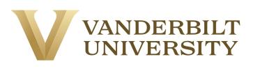 Logo Vanderbilt University Summer Camp