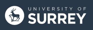 Logo University of Surrey