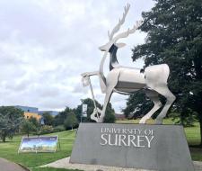 University of Surrey