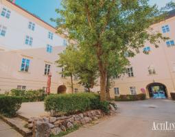 ActiLingua Summer Academy