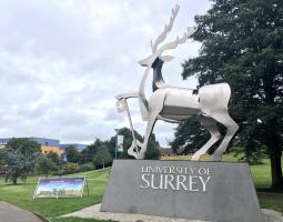 University of Surrey
