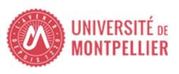 Logo University of Montpellier
