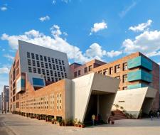 Lovely Professional University