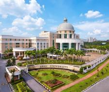 Segi University