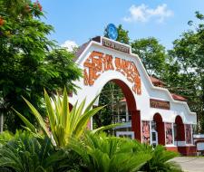 Tezpur University