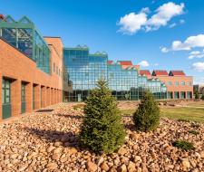 Western College