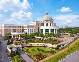 Segi University