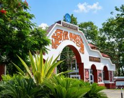 Tezpur University