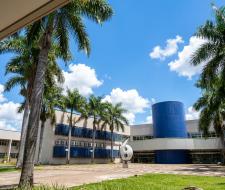 Universidade Federal de Goiás UFG (UFG)