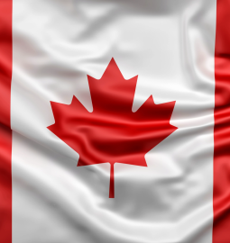 Canada lost 13% of language program students
