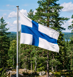 Finnish universities face sharp decline in number of applicants from abroad