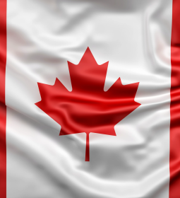 Canada lost 13% of language program students