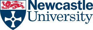 Logotipo INTO Newcastle Universidad Londres