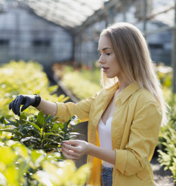 The Green Collar Revolution: A Career Roadmap for the Class of 2026