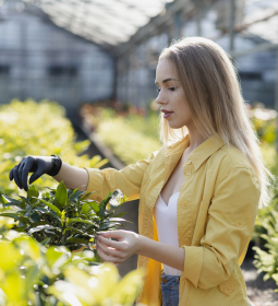 The Green Collar Revolution: A Career Roadmap for the Class of 2026