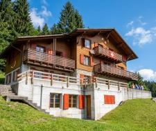 Summer Camp Schwarzsee