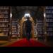 gallery video