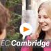gallery video