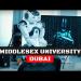 gallery video