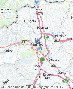 Slovenia on map